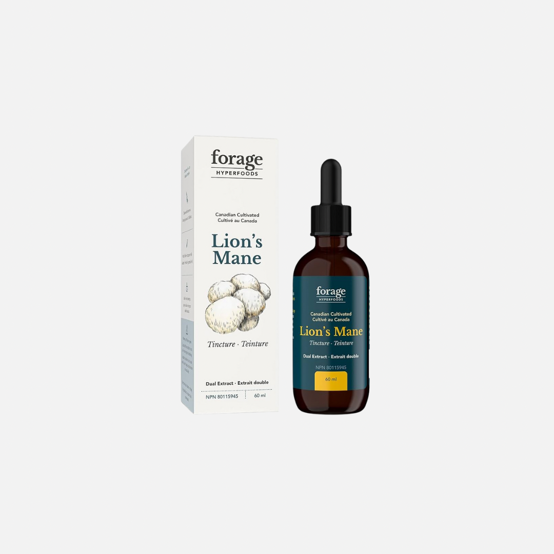 FORAGE HYPERFOODS - Teinture de Crinière de Lion (Lion's Mane)